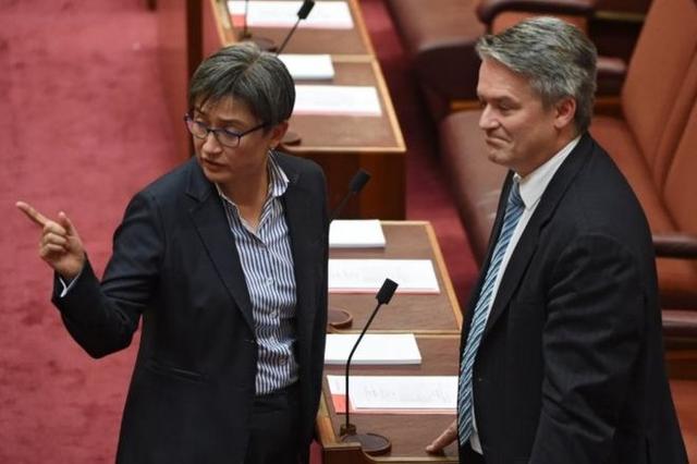 外媒：华裔女政要黄英贤离澳大利亚总理仅一步之遥，但拒绝参选