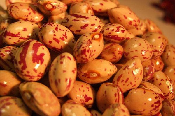 花豆是什么 花豆和芸豆的区别
