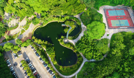 好玩又好看！深圳最值得去的六大公园，个个都堪比5A级景区