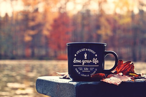秋季, 森林, 杯, Waldsee, 板凳, 爱你的生活, 座右铭, 叶子