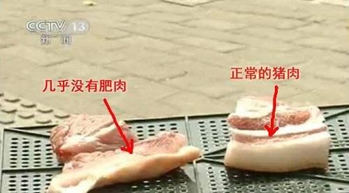 经常听到的瘦肉精到底是什么？如何辨别“健美猪肉”