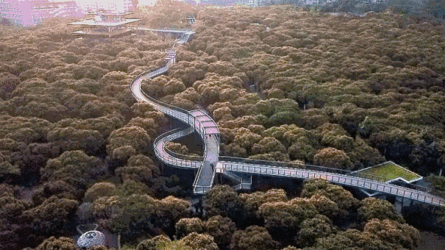 好玩又好看！深圳最值得去的六大公园，个个都堪比5A级景区