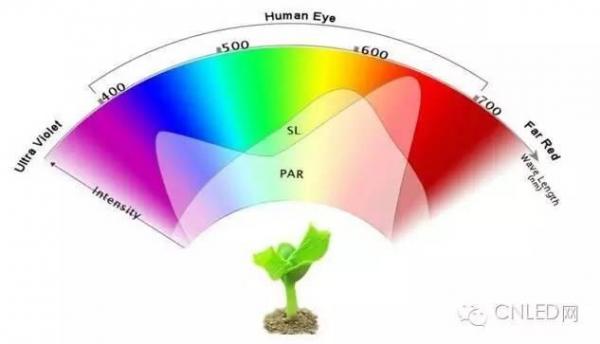 LED植物生长灯（LED植物生长灯的波长及效果）