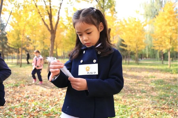 在大自然中怎么学习？让我们走进北京双语学校的森林课堂看一看