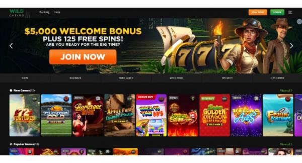 The Best 5 Examples Of Unveiling the Top 10 Online Casinos in India: Your Gateway to Premium Gaming Experience